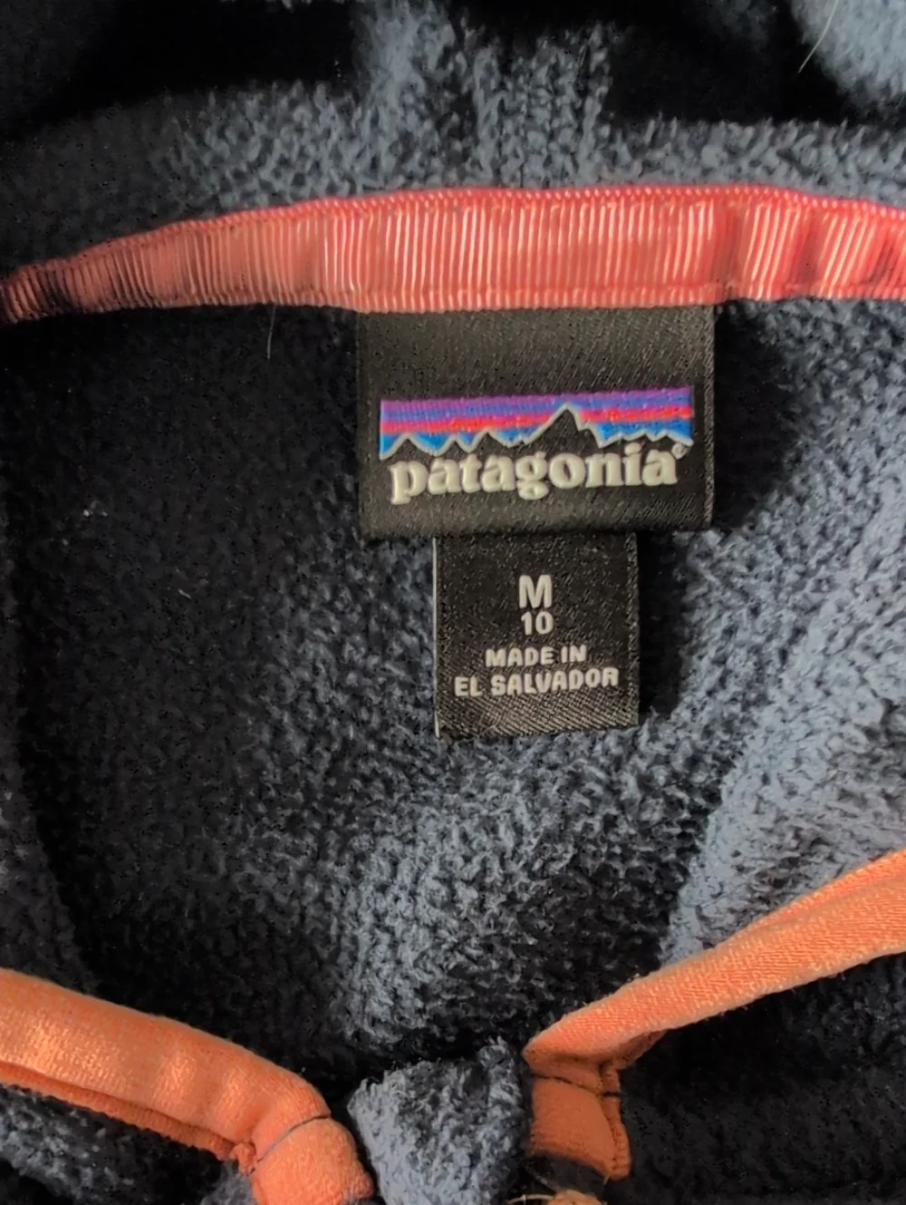 Patagonia Micro D Snap-T Fleece Jacket